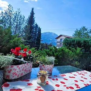  Apartment Alpenherz